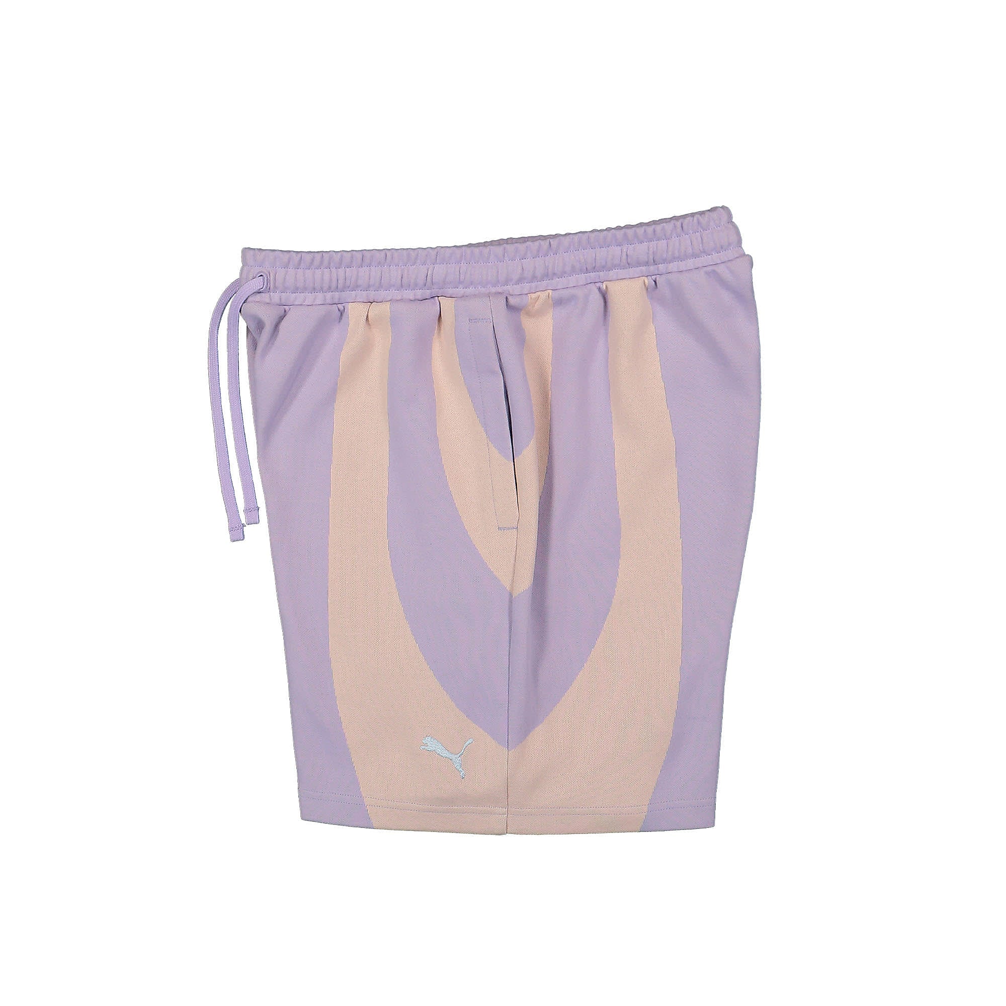 Puma<br>Shorts