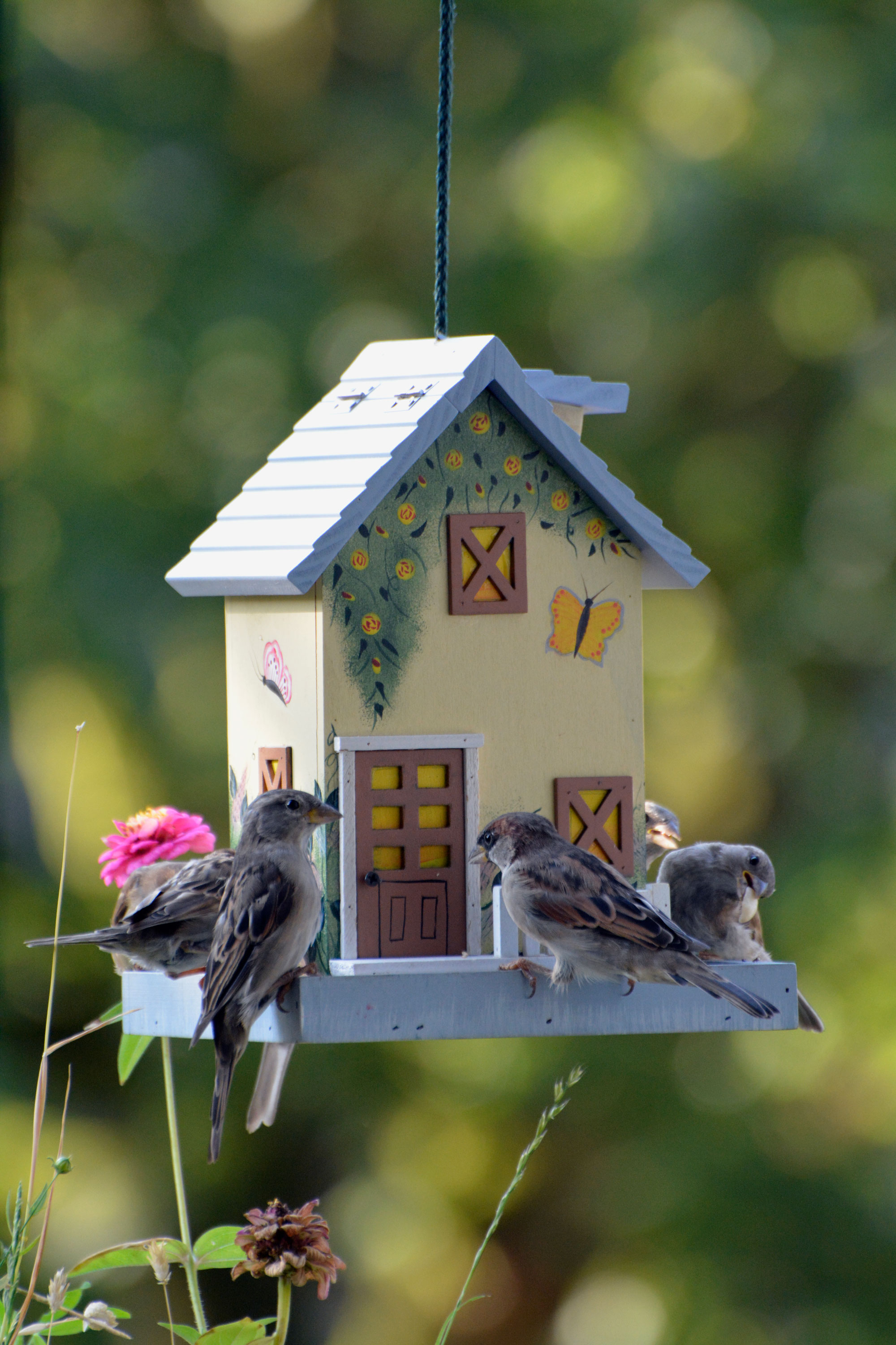 dobar Buntes Deko-Vogelhaus - versch. Ausführungen