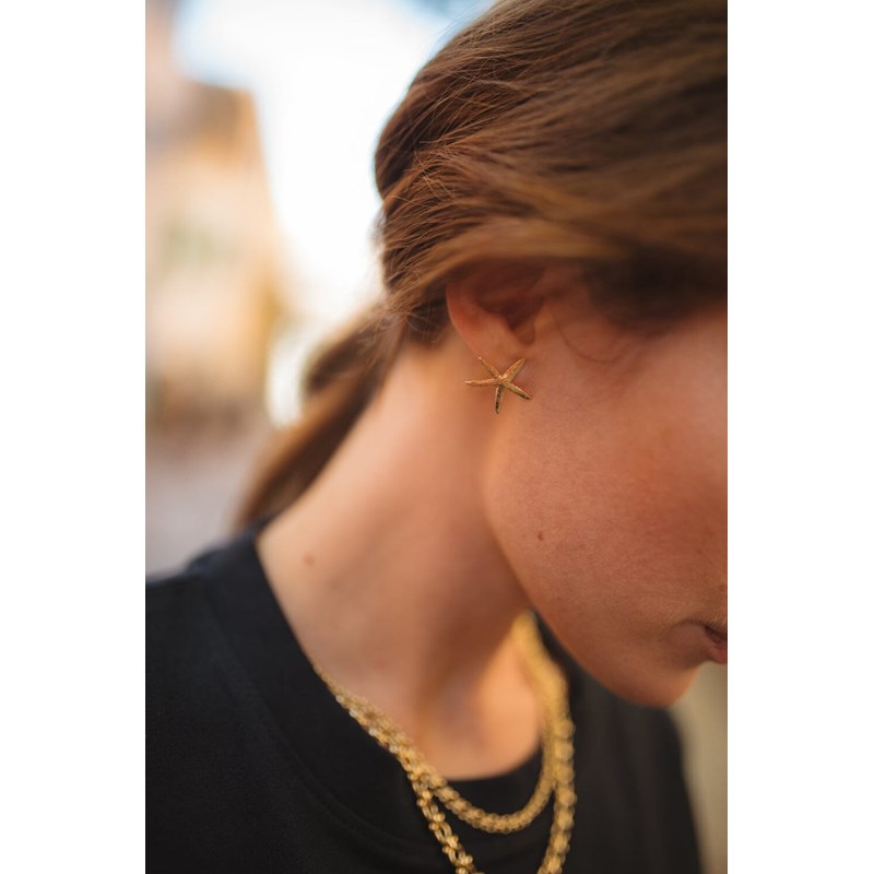 boucles d'oreilles puces étoiles plaqué argent - CLÉIA