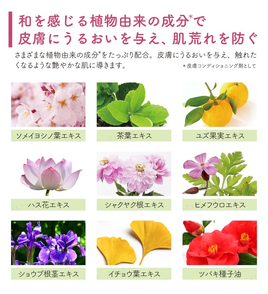 kyo-miori - Hanayomi Handcrème Juni Hortensia