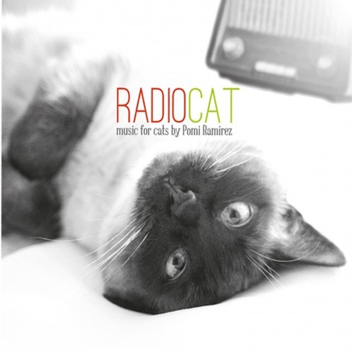Música para Gatos Rádio Gato Várias Cores