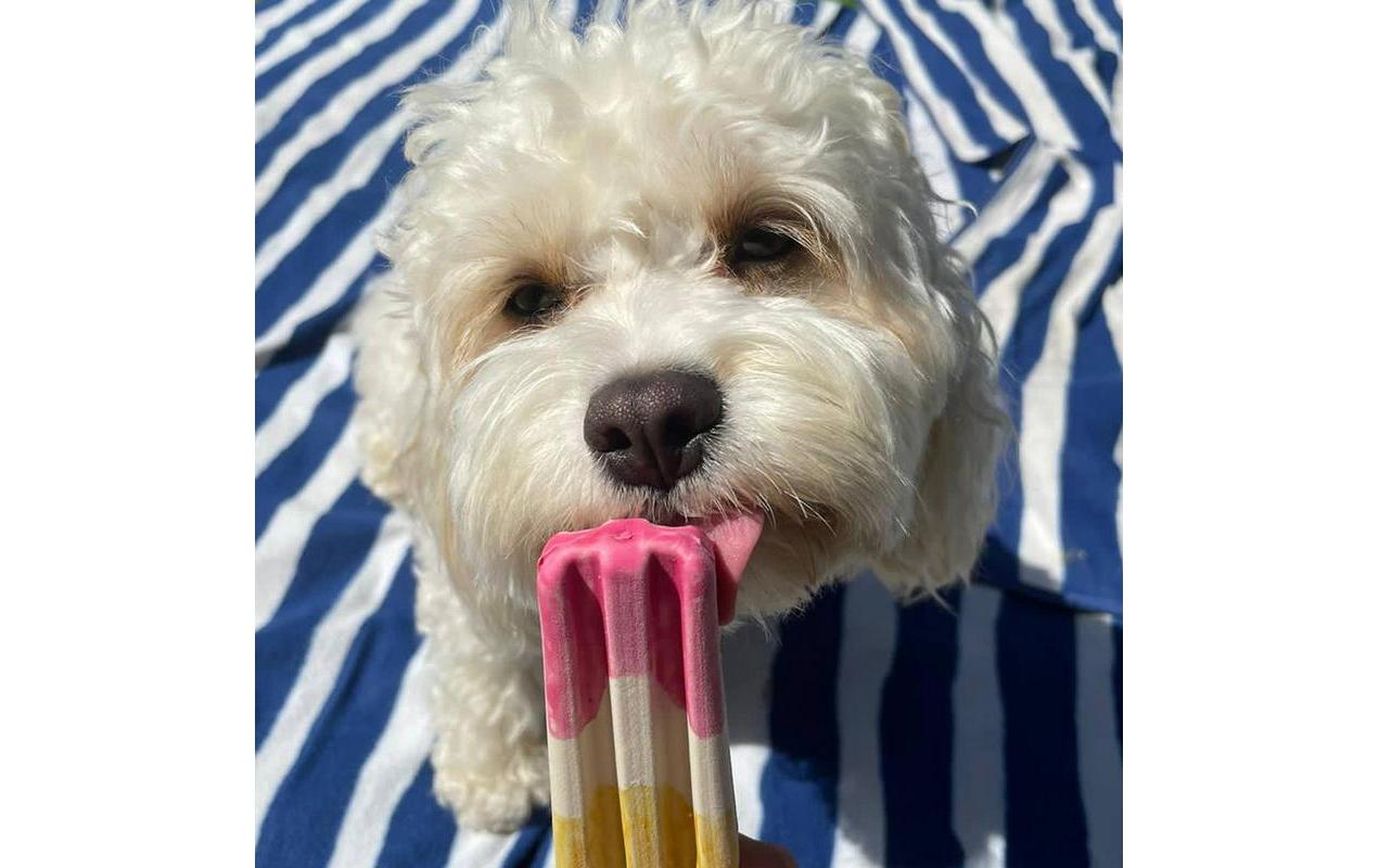 Leckerli Rocket Lollies Erdbeer-Banane, 2 Stück, 90gHunde-Eis für heisse Tage