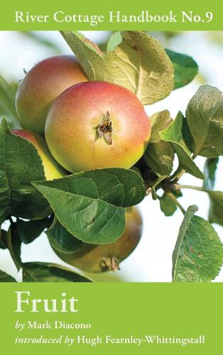 Fruit: River Cottage Handbook No.9 - River Cottage Handbook (Hardback)