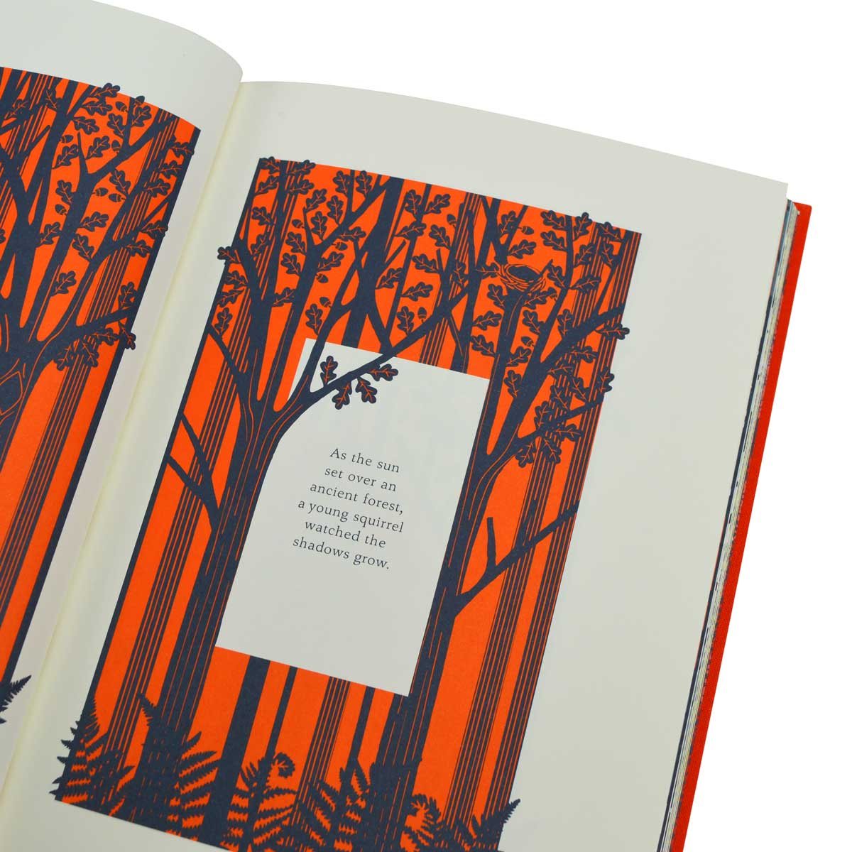 The Squirrel and the Lost Treasure (Hardback)