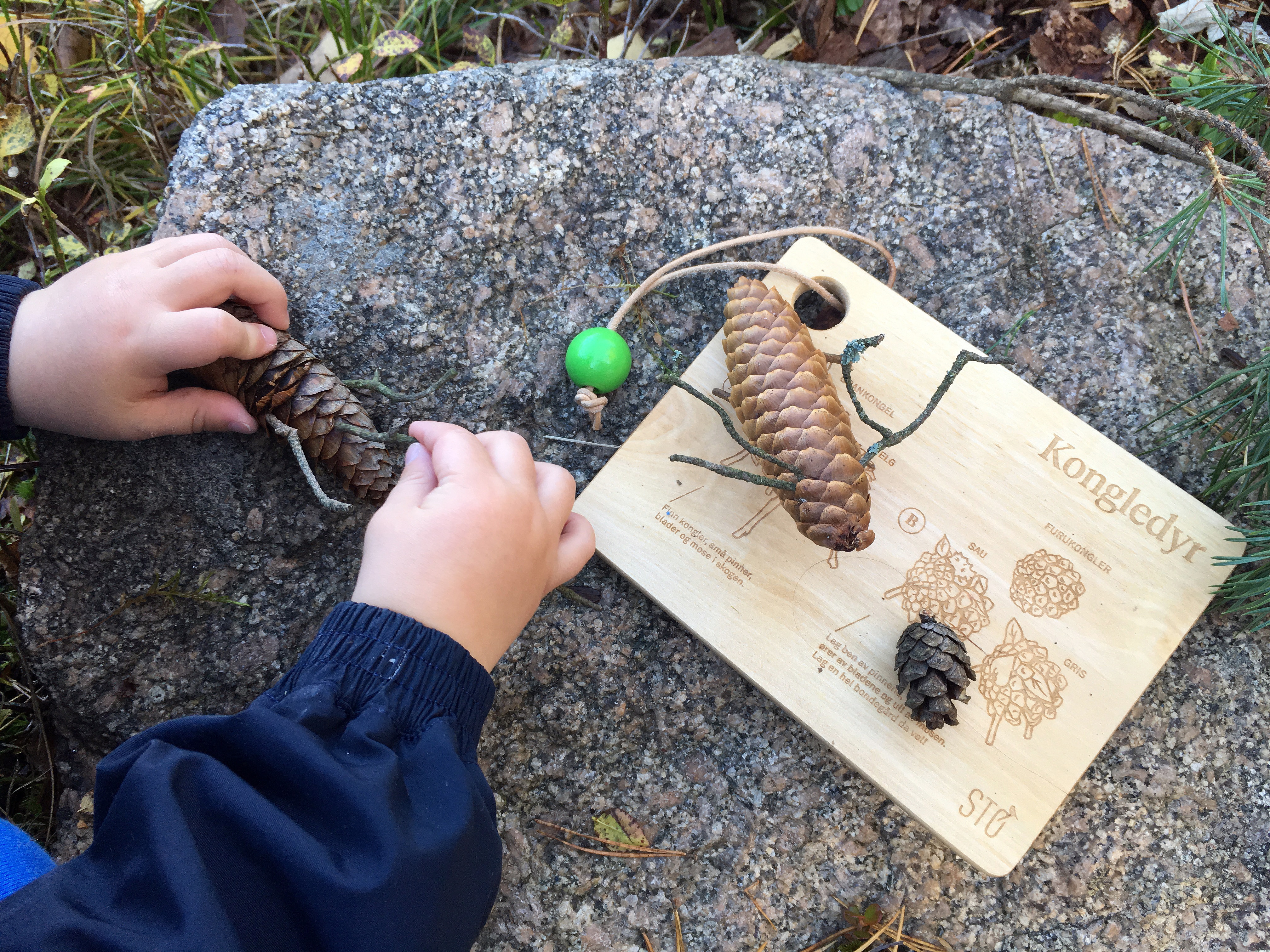 STØ Lekefjøl<br>Bli inspirert av illustrasjonene på fjølene til utelek sammen!