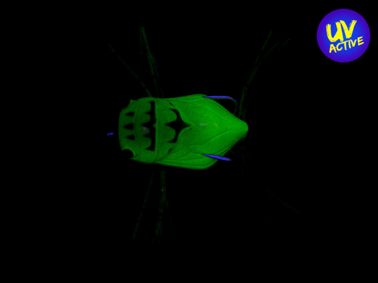 37 mm Semi Frog (#18) Clear Tree Frog(Reins)