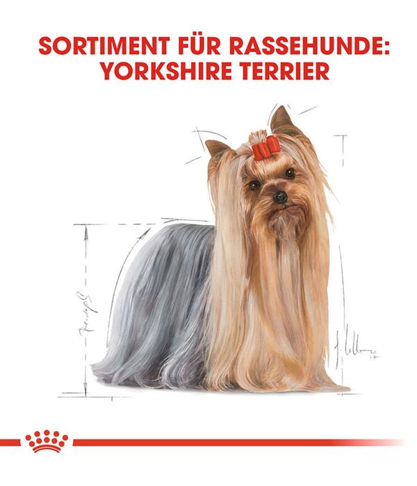 ROYAL CANIN® Trockenfutter für Hunde