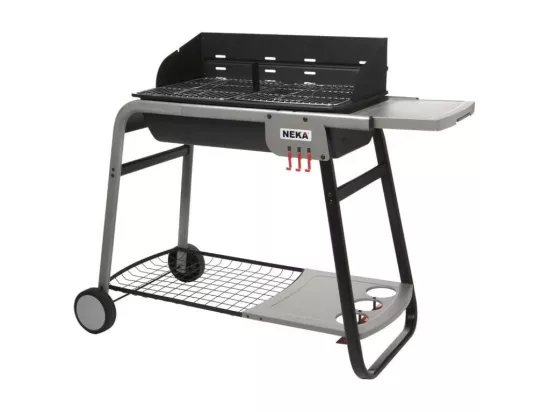Barbecue Charbon 