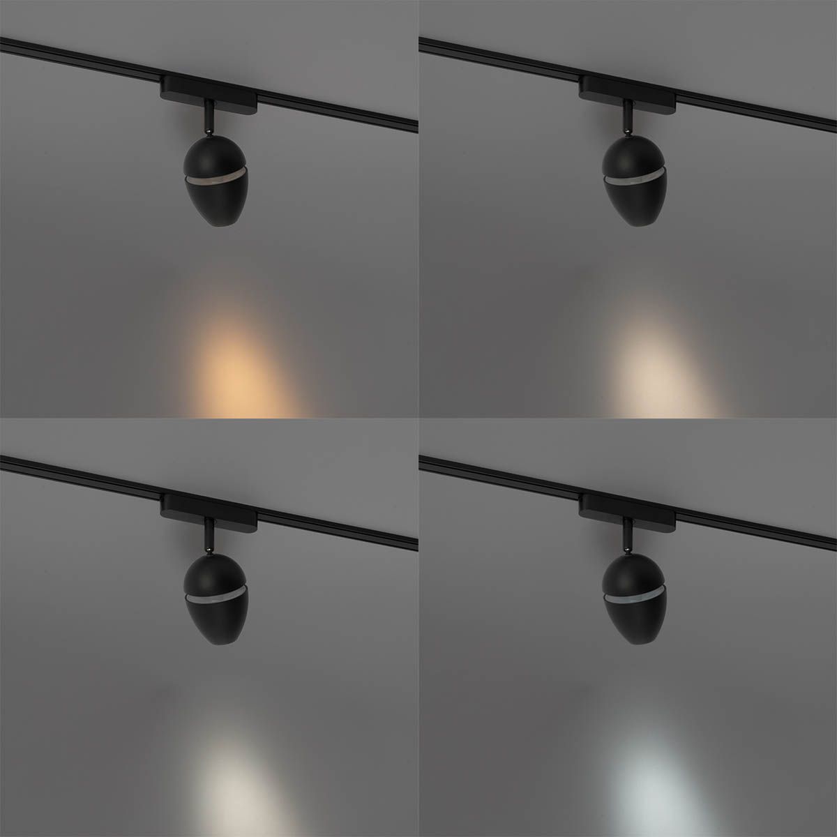 Moderne spot zwart voor railsysteem 1-fase incl. LED - Magnetic Eggy