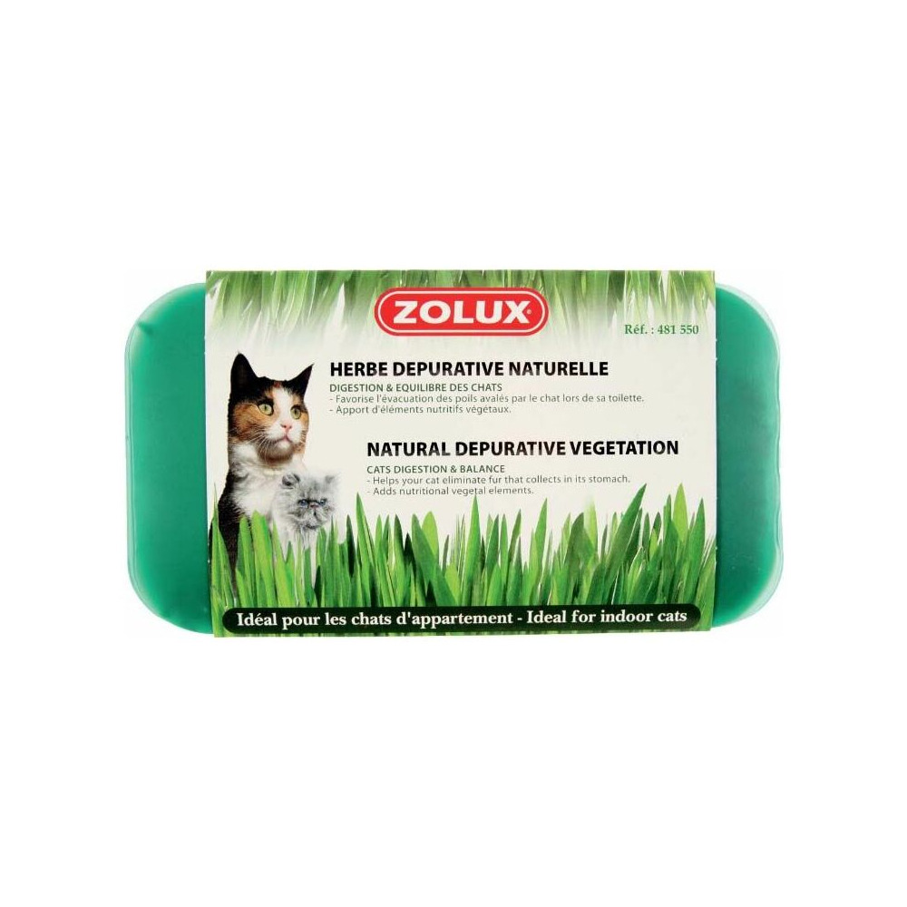 Herbe à chat dépurative naturelle (lot de 3)