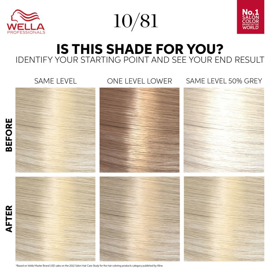 Wella Professionals Color Touch Rich Natural Platinum Blonde 10/81 130ml