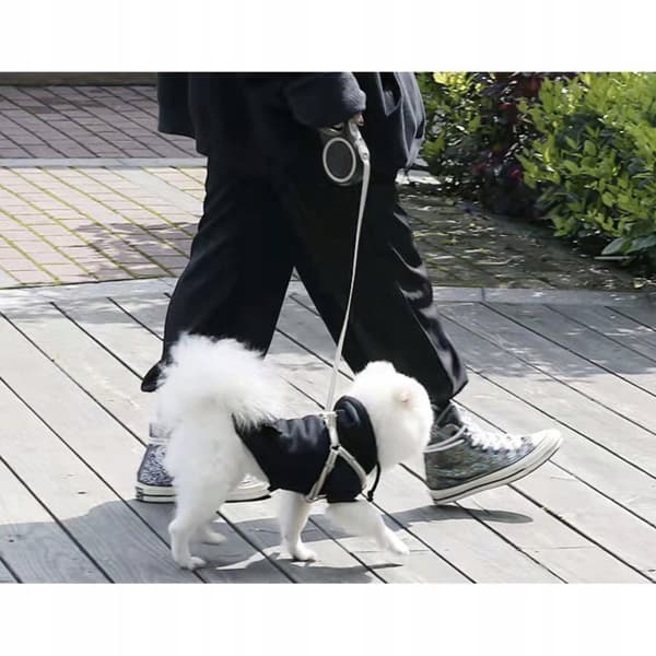 Fleksibelt bånd for hund - 5 m - Opp til 15 kg