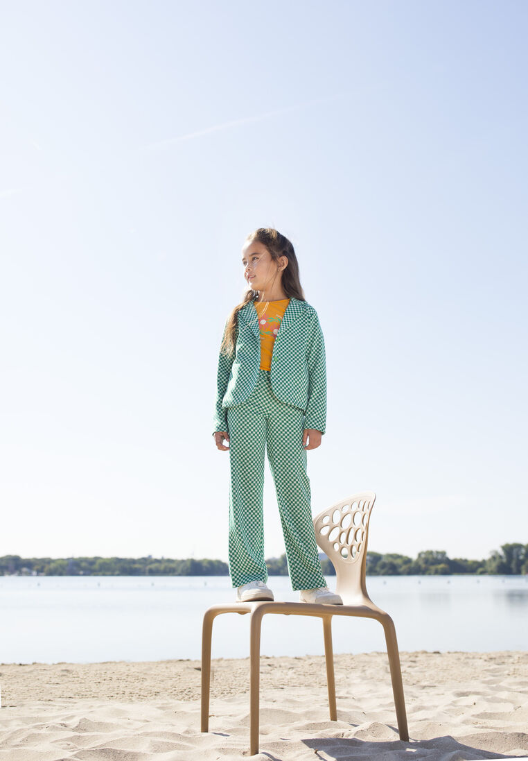 MOODSTREET groene moodstreet pantalon pants in jacquard knit check