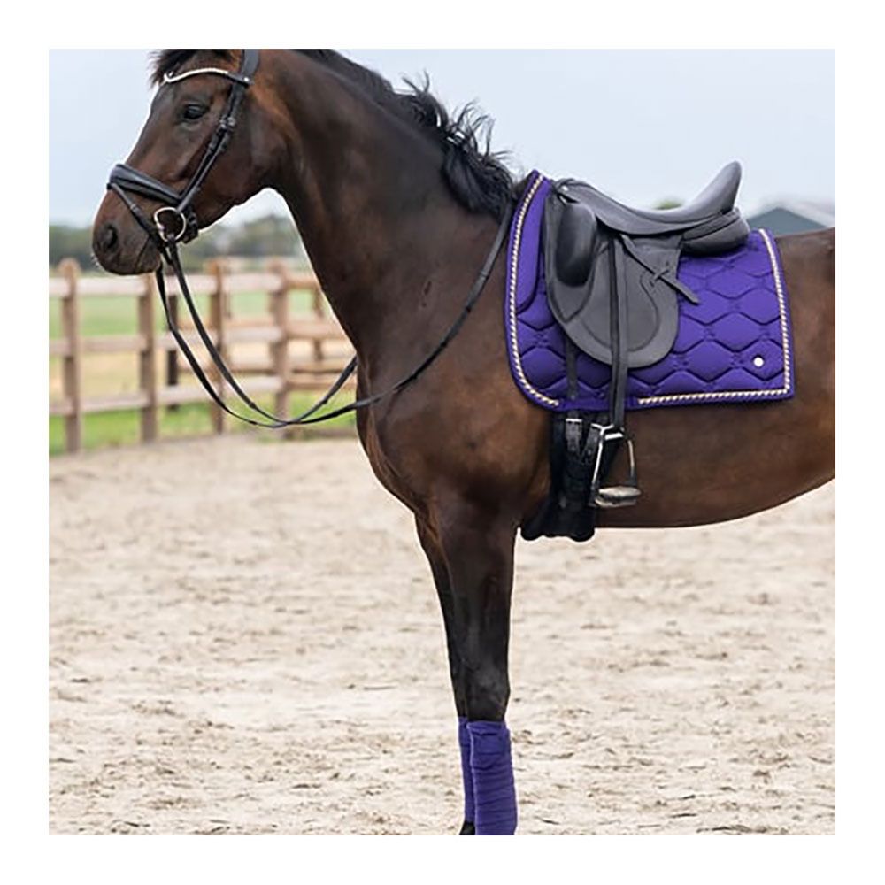 PS of Sweden SIGNATURE - Bandes de polo x4 lilac