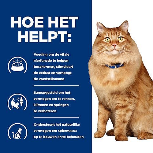 Hill's Prescription Diet KD + Mobility Kidney + Joint Care Kattenvoer