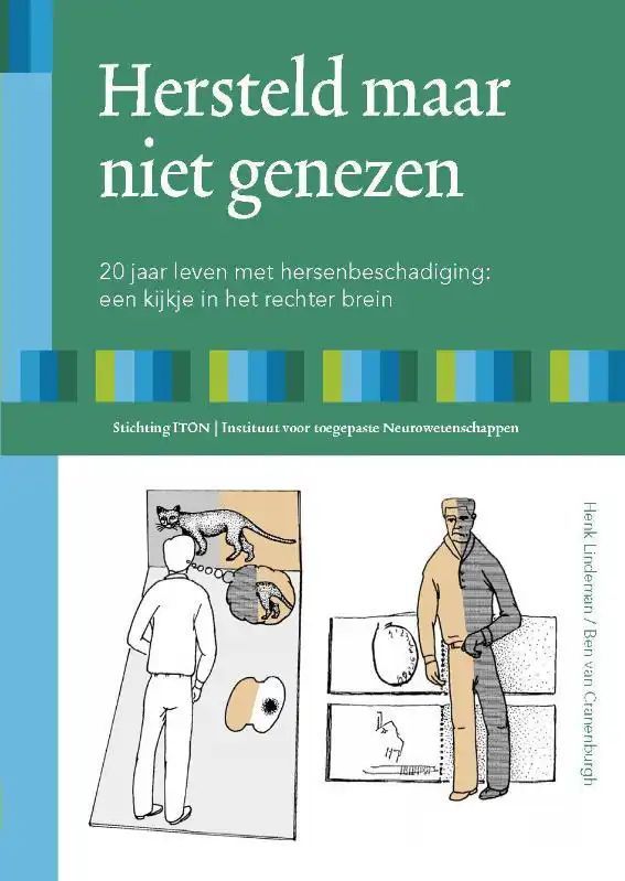 In Hersteld - Henk Lindeman - Boek - Zwart - Paperback