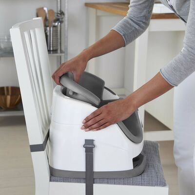Ingenuity Baby Base 2-in-1 Sete, Grey
