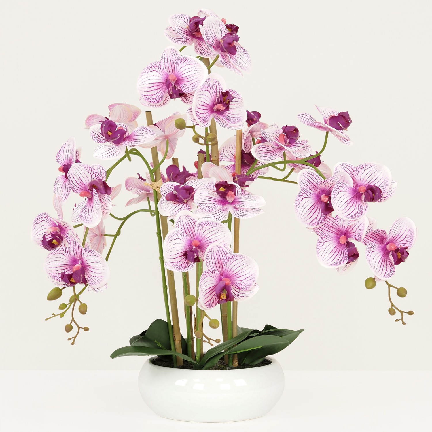 Orchidées artificielles blanches fuchsias 55cm