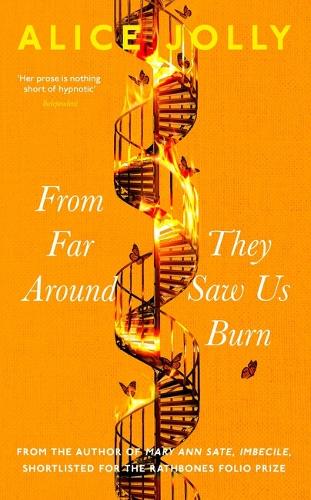 From Far Around They Saw Us Burn (Hardback)