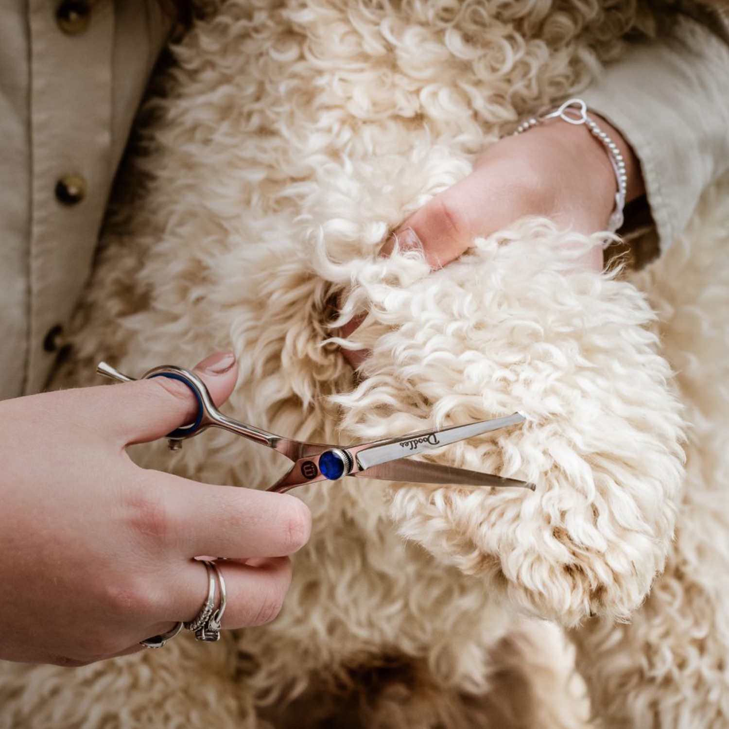 Mikki Doodle Face & Paw Scissor