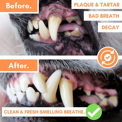 Dogslife Dental Wipes