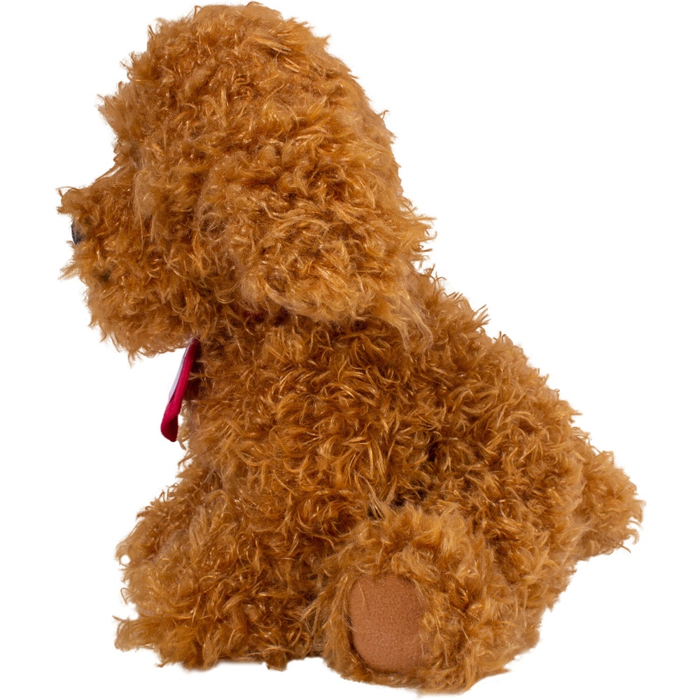 Waffle, der Wunderhund