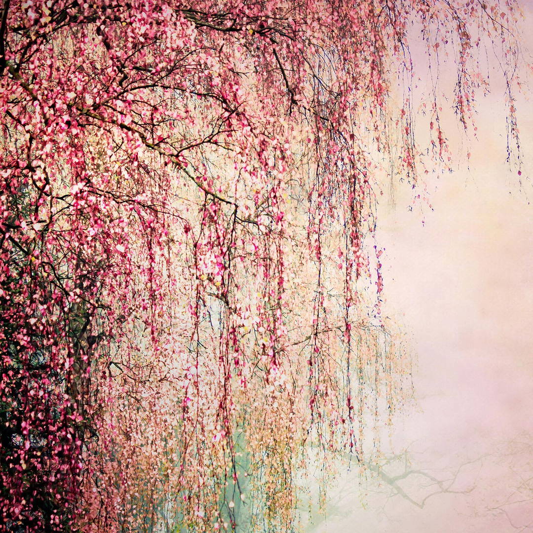 Mystic Forest by Christiane Steinicke - Open Edition.