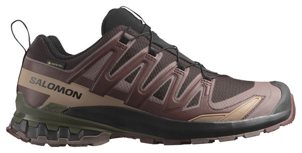 Chaussures de Trail Salomon Xa Pro 3D V9 Gore-Tex Marron/Noir