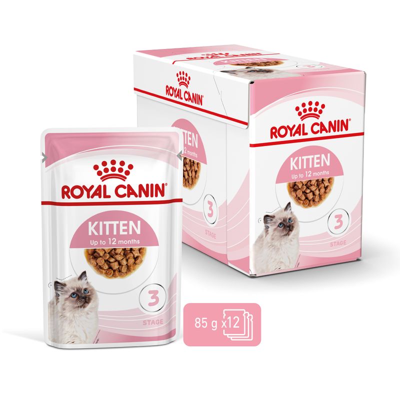 Royal Canin Kitten en sauce pour chaton
