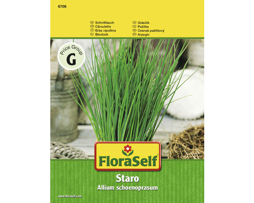 Bieslook 'Staro' FloraSelf F1 Hybride Kruidenzaden
