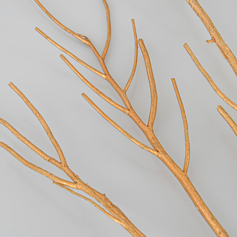 6 branches japonaises