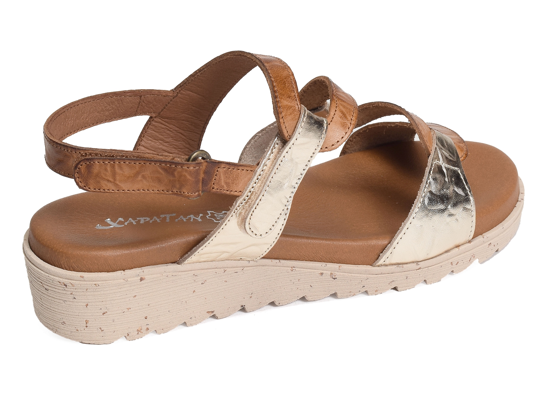 1683 camel or