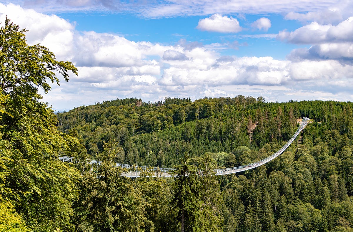 Kurzurlaub mit Skywalk Willingen für 2 (1 Nacht)
