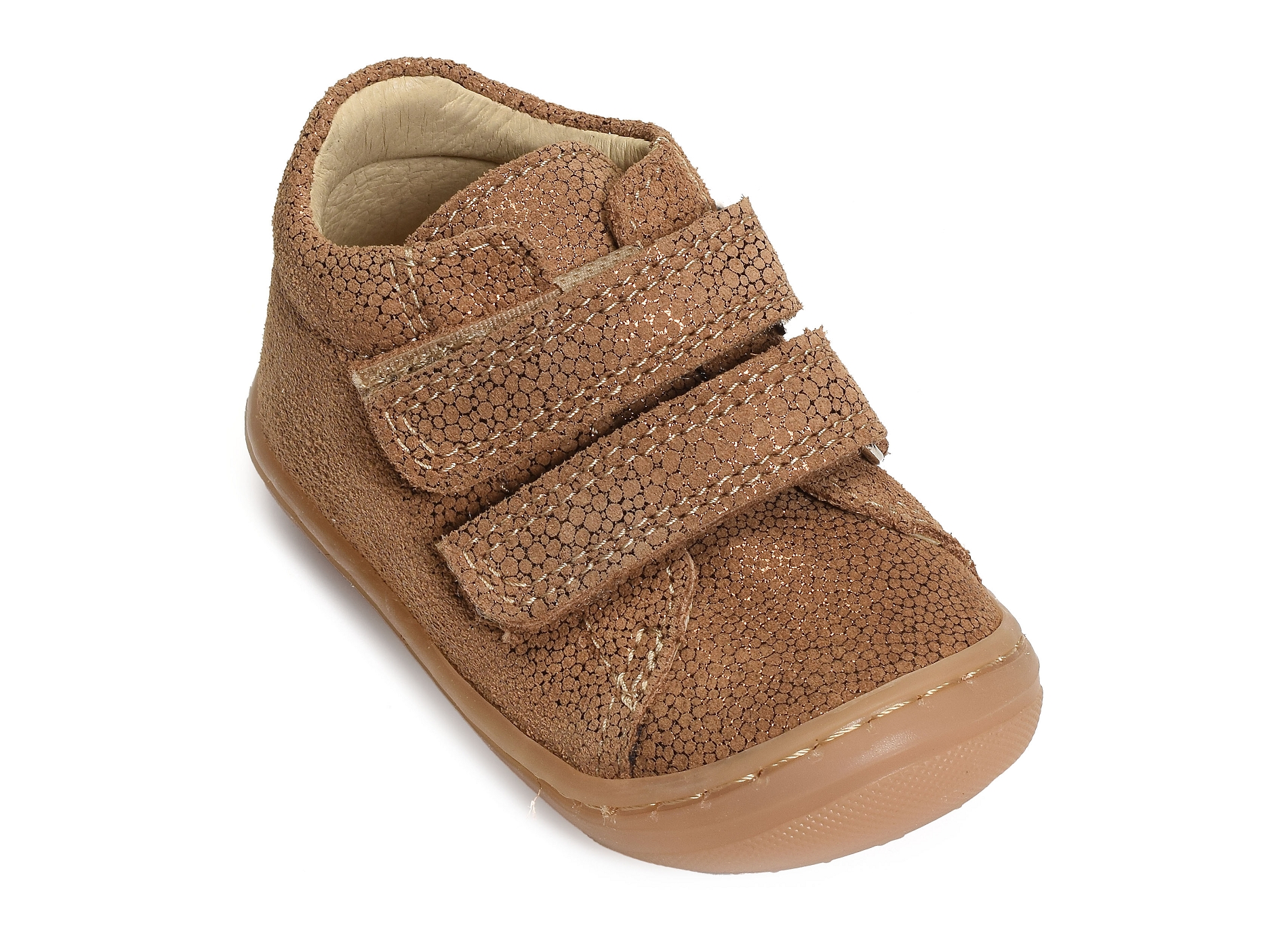 Stella camel