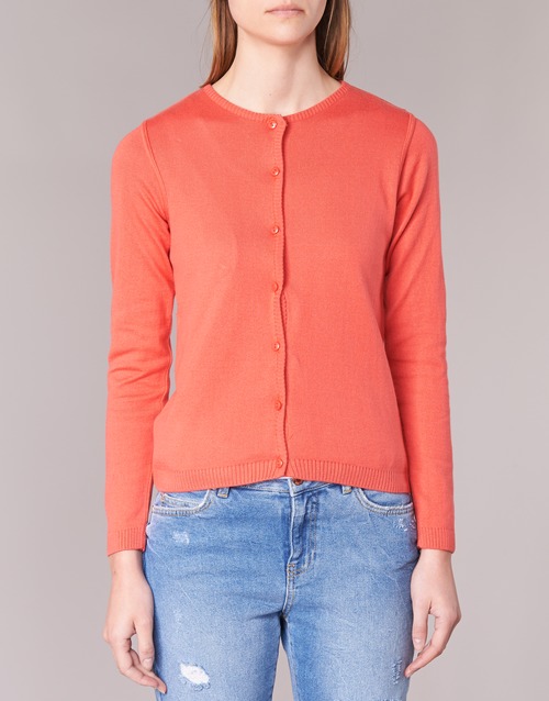 BOTD - EVANITOA - Orange