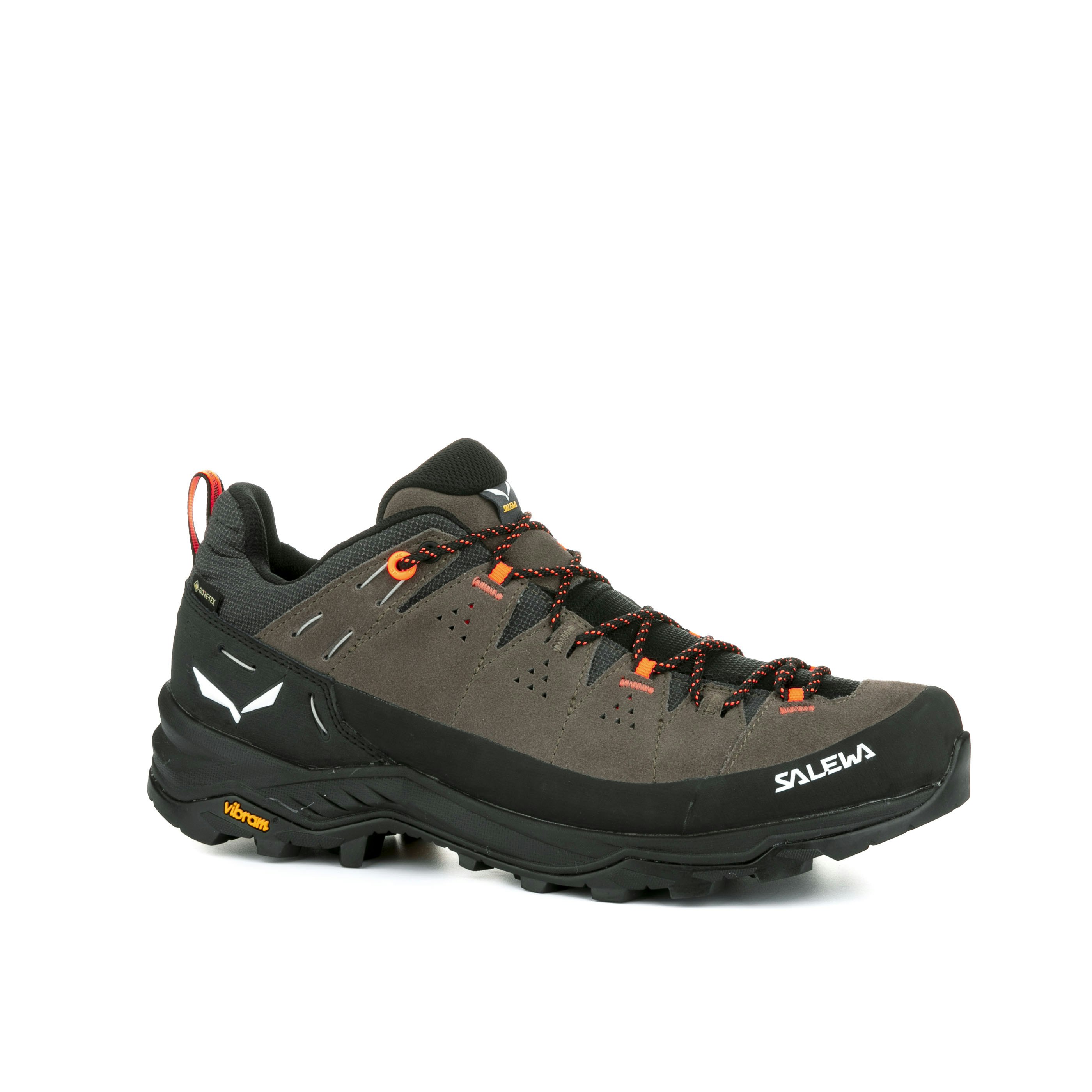 Alp Trainer 2 Gore-Tex® Schuh Herren