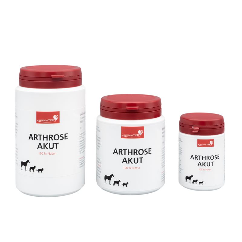 HerzensTier Arthrose akut