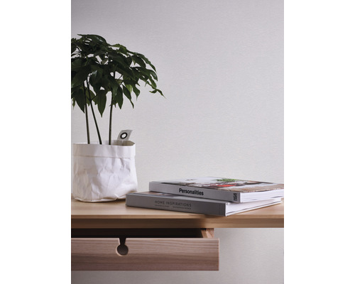 Vliesbehang 2487-18 Meistervlies ProProtect pleisterstructuur wit