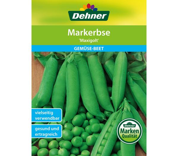 Dehner Samen Markerbse 'Maxigolt'