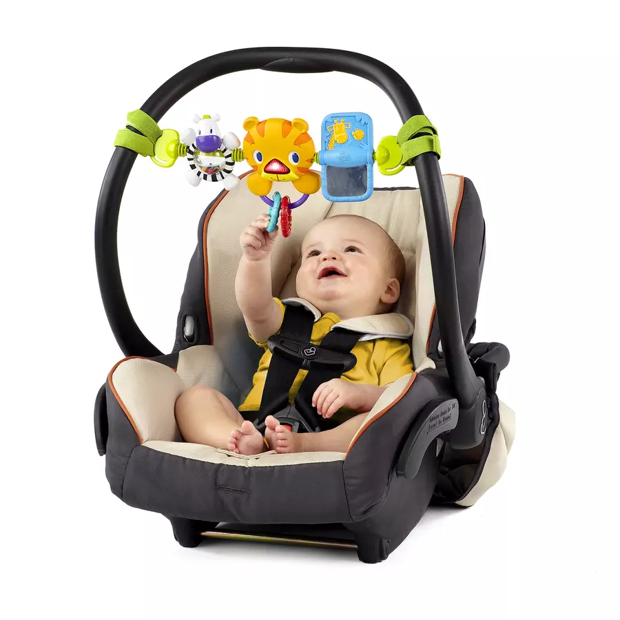 Bright Starts Take Along Carrier Toy Bar™ Spielleiste