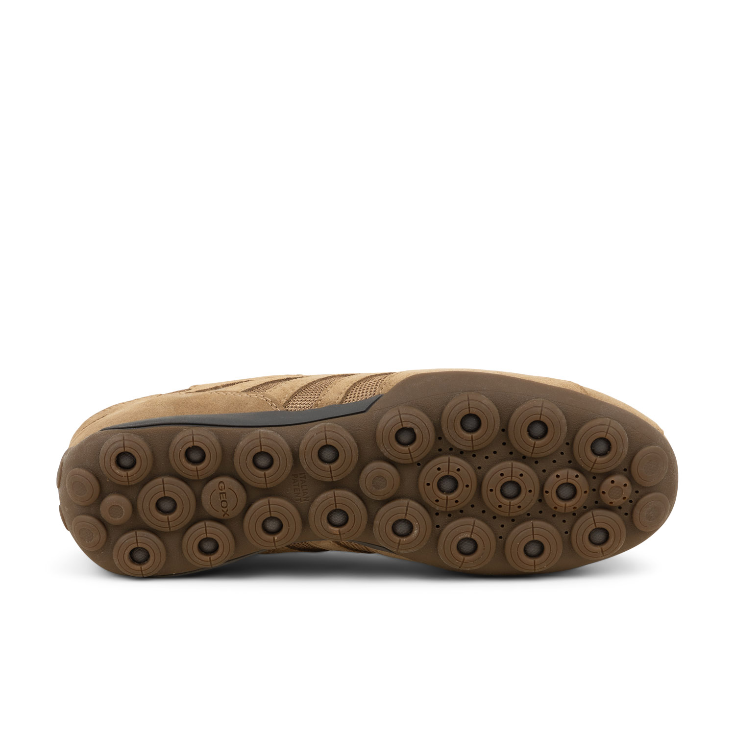 Baskets homme GEOX SNAKE 2.0