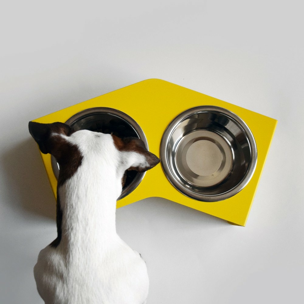 Liqui - set de 2 gamelles chien surélevées en acier, socle design métal jaune