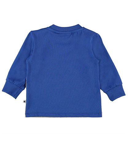 Molo Pullover - Eloy - Go Tiger!