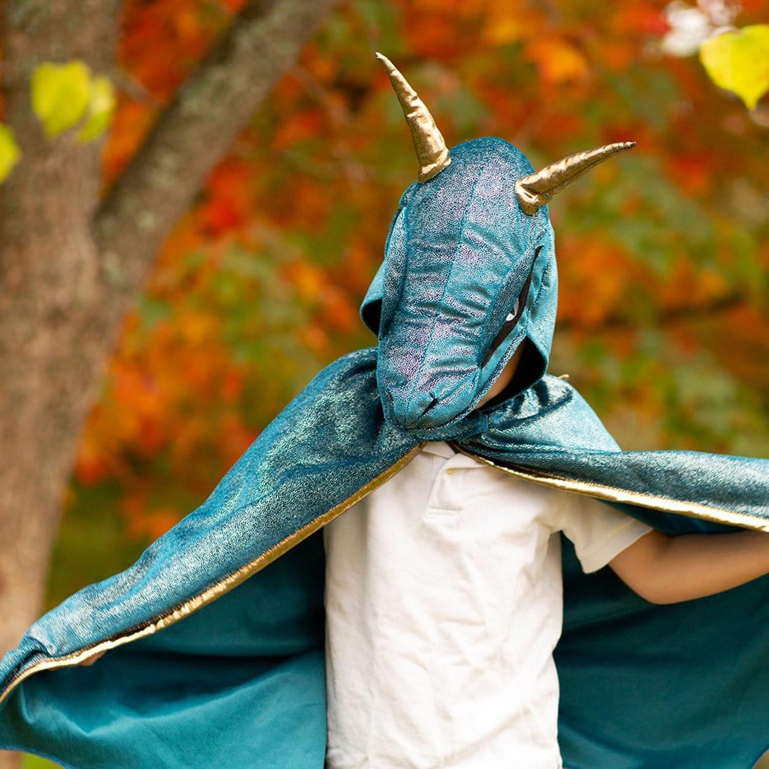 Cape Draak met Vinnen Blauw, 5-6 jaar
