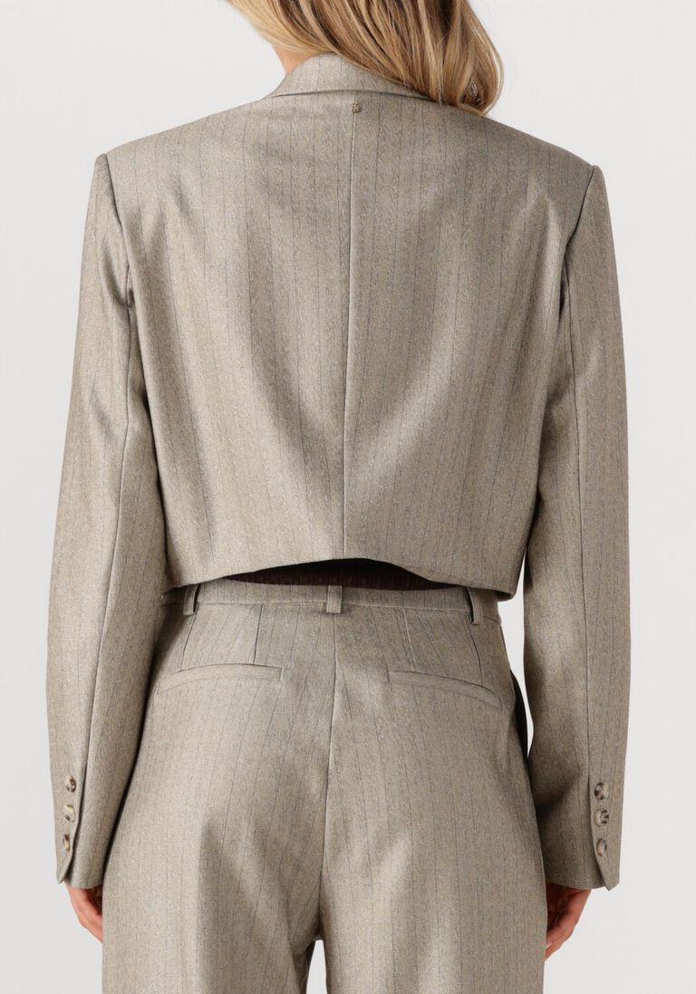 taupe ibana blazer jelah pinestripe