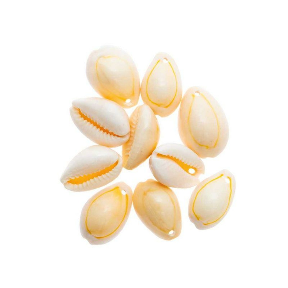 10 perles - coquillages naturels - 2 perforations