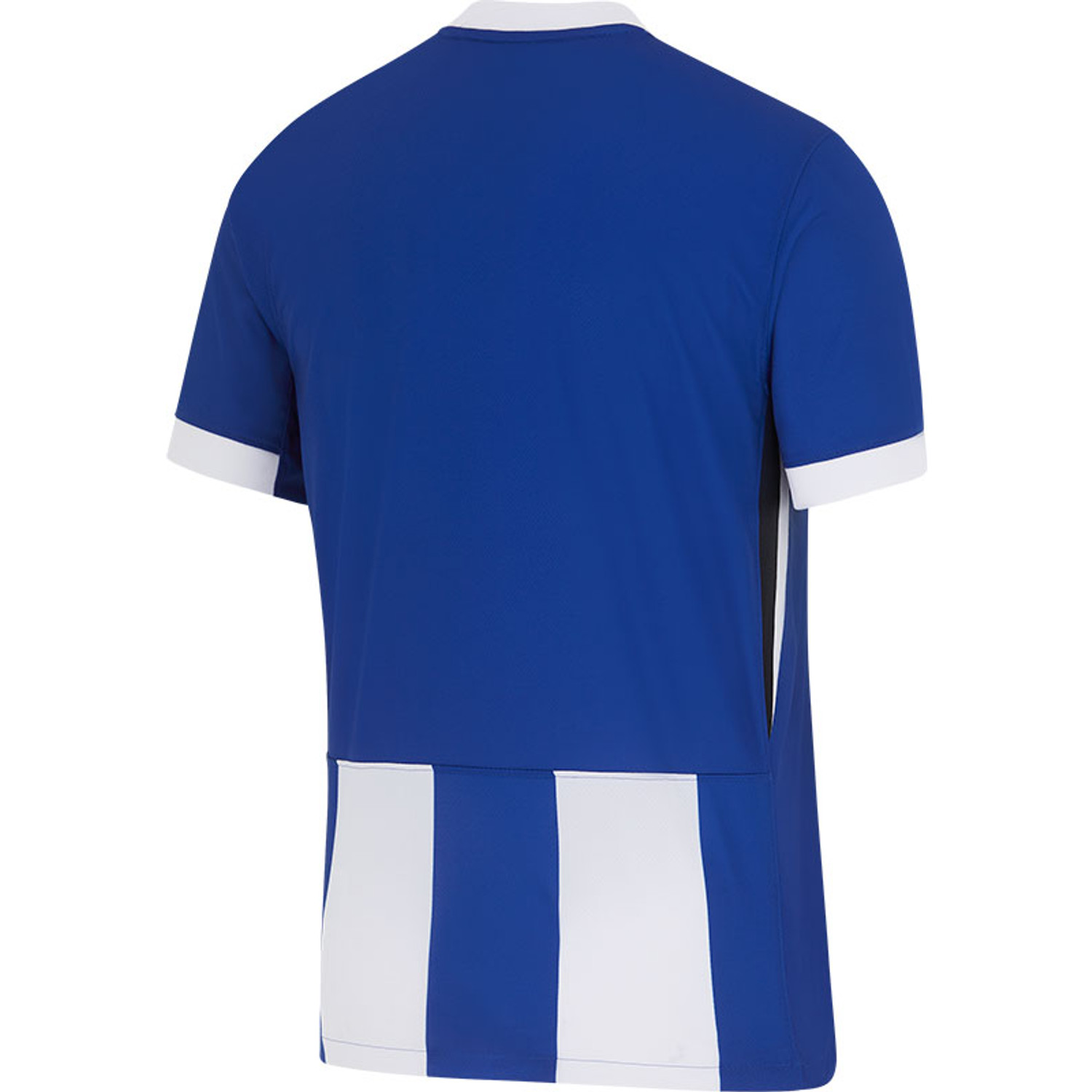 Nike Hertha BSC Thuis Shirt 2024/2025