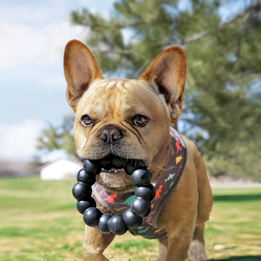 Brinquedo para mordida de cachorro Kong Extreme Ring
