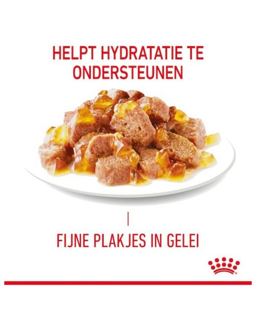 Royal Canin Hair & Skin Care In Jelly - Kattenvoer - 85 g