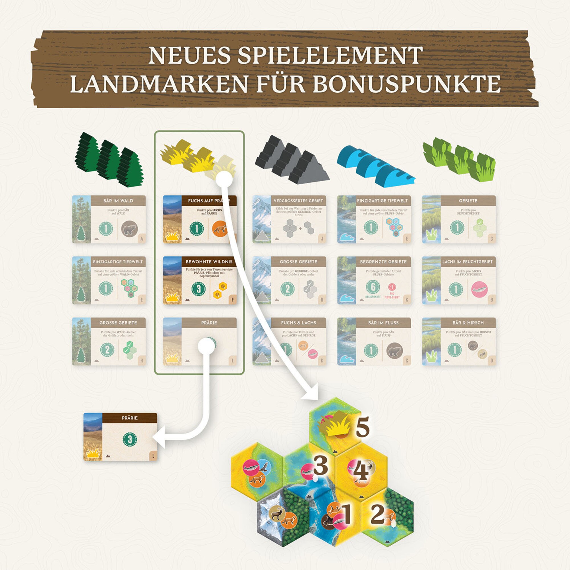 Kosmos Gesellschaftsspiel Cascadia Landmarks